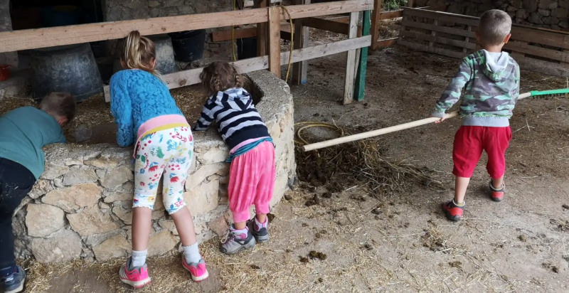 Bambini al lavoro - danno a mangiare agli asini - nella fattoria parco Asinolla