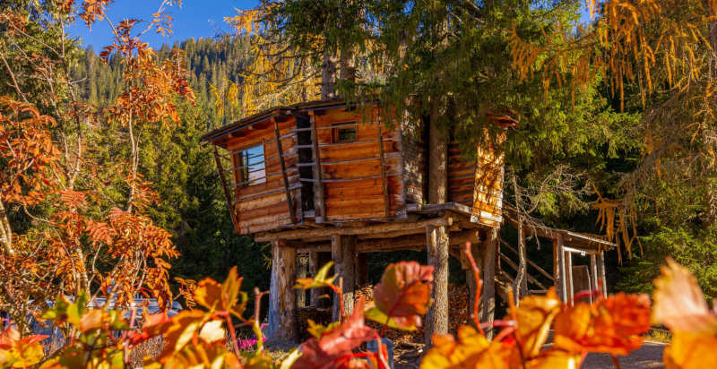 Colori stupendi casa sull'albero a Sesto in autunno