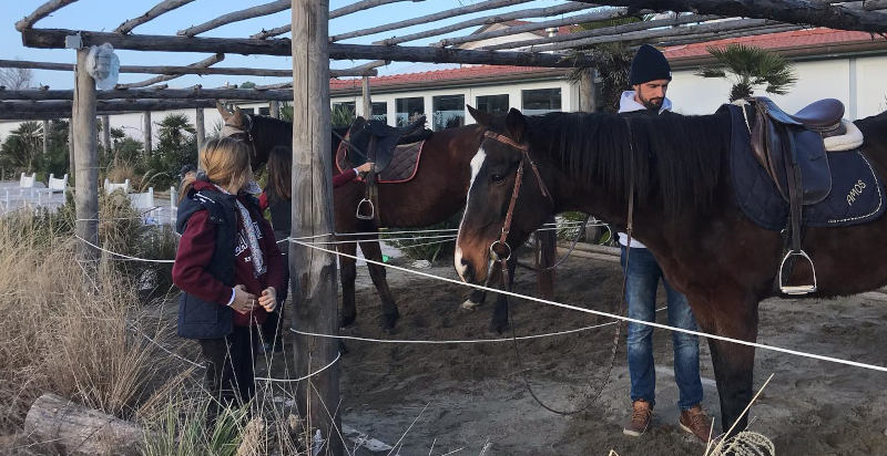 Passeggiata a cavallo a Montignoso immersa nella natura