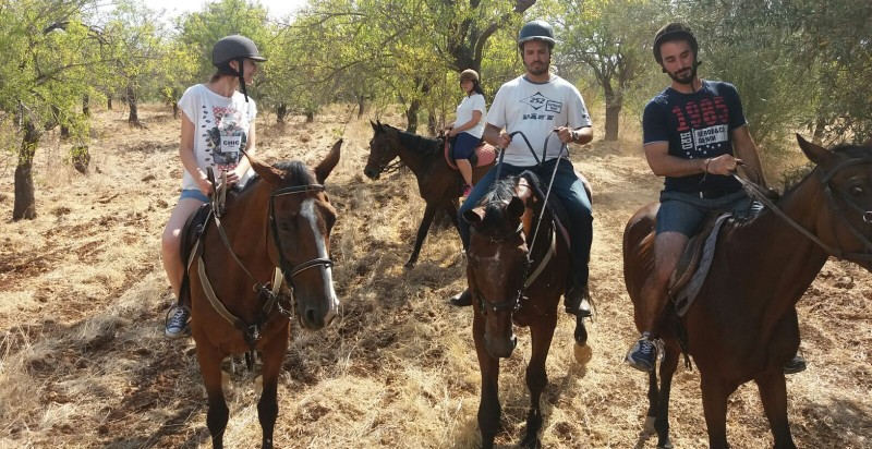 cavallo-passeggiata-sicilia-siracusa