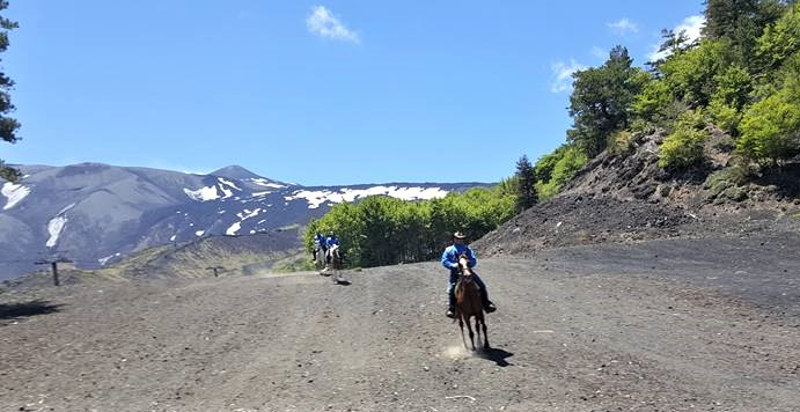 cavallo-sicilia-passeggiata-etna