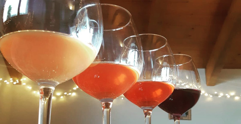 Degustazione vini Piemonte con Vespolina DOC e Nebbiolo DOC in cantina tradizionale