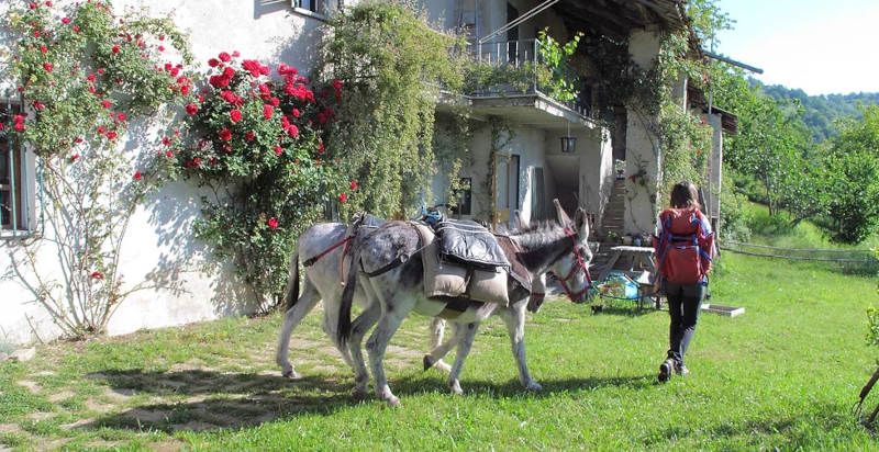 Relax e avventura a Cascina Zan, Paroldo, tra boschi e colline