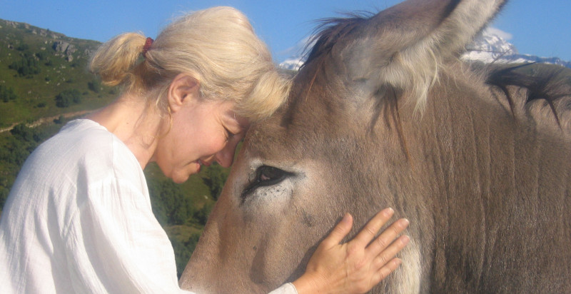 Esperienza di trekking con asini in Valsesia