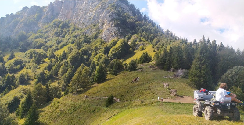 Panoramica sull’Altopiano del Sole durante il tour in quad