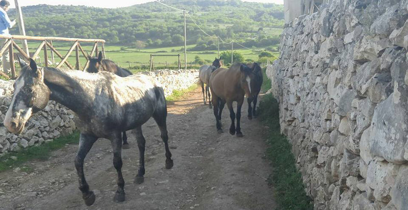 Fattoria didattica nel parco del Gargano in Puglia