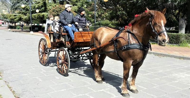Carrozza siciliana a Linguaglossa: un viaggio nel cuore della storia