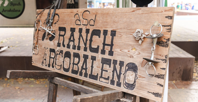 Lavorare un giorno in un ranch di cavalli