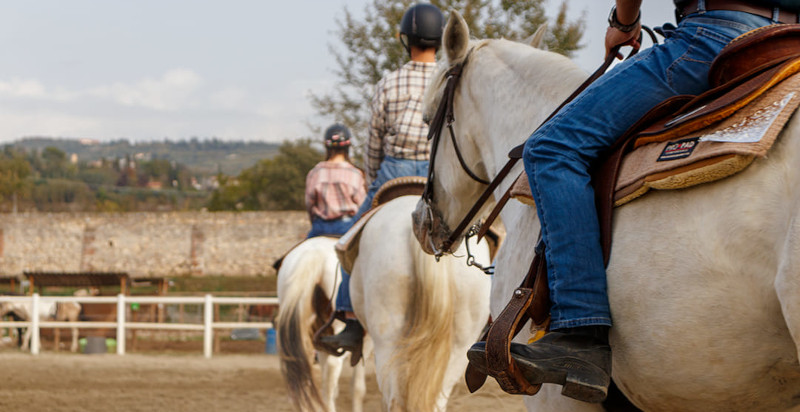 Lezione di equitazione a Verona con istruttore esperto