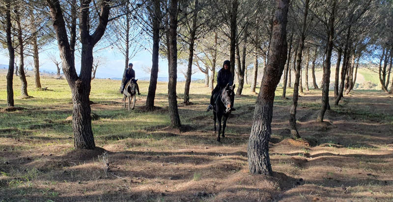 Paesaggio siciliano durante un'escursione a cavallo nell'agro di Enna