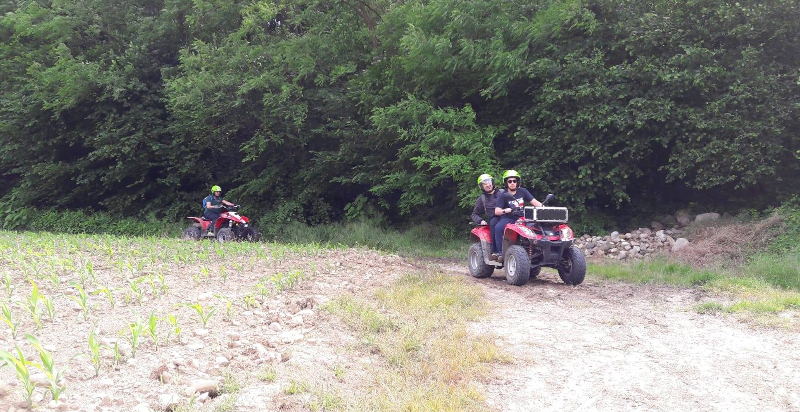 Avventura in quad tra campi verdi e filari di vite