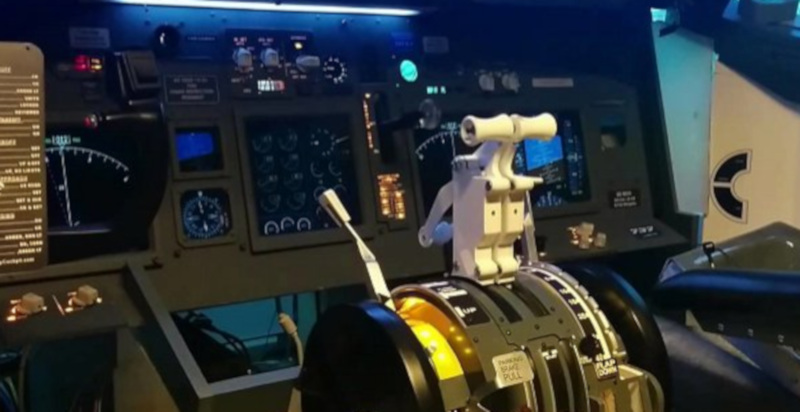 Regalare un buono per l'esperienza di simulazione di volo a Torino