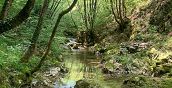 Percorso escursionistico a Isernia, Molise