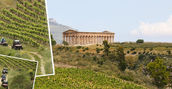 Tour guidato in buggy tra le campagne segestane