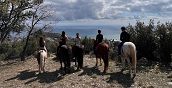 cavalli nell'parco Asinolla con vista mare - passeggiata