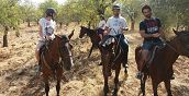 cavallo-passeggiata-sicilia-siracusa