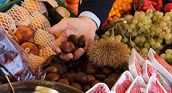 Corsi cucina Mozzano Romano Lazio