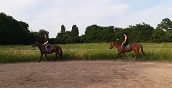 Corso di equitazione per adulti con istruttore esperto in Veneto