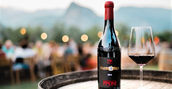 degustazione vino trentino