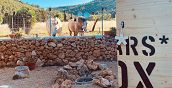 Dormire in una Starsbox in Sardegna