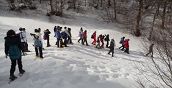 Escursionisti con le ciaspole nei boschi innevati