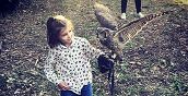 Visita guidata di falconeria a Manoppello, vicino al Parco Nazionale della Majella