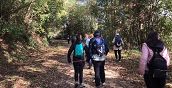 Passeggita nel bosco di Vetralla per la giornata di falconeria