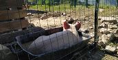 Esperienza educativa in fattoria didattica per bambini