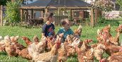 Bambini che accarezzano animali nella fattoria didattica di Arco