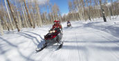 Gita in motoslitta tra i sentieri innevati di Livigno