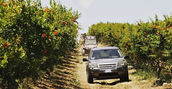 Tour in jeep attraverso il paesaggio della campagna segestana