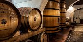Visita in una cantina fiorentina dopo una passeggiata a cavallo