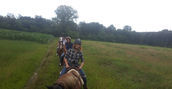 passeggiata-a-cavallo-lombardia-varese