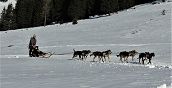 Corsa con i cani da slitta nelle Dolomiti a Madonna di Campiglio