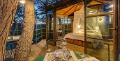Esperienza di pernottamento in casa sull’albero Toscana