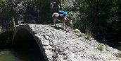 Trekking facile in Abruzzo per famiglie e bambini