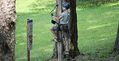 percorsi avventura tra abeti e larici del Trentino