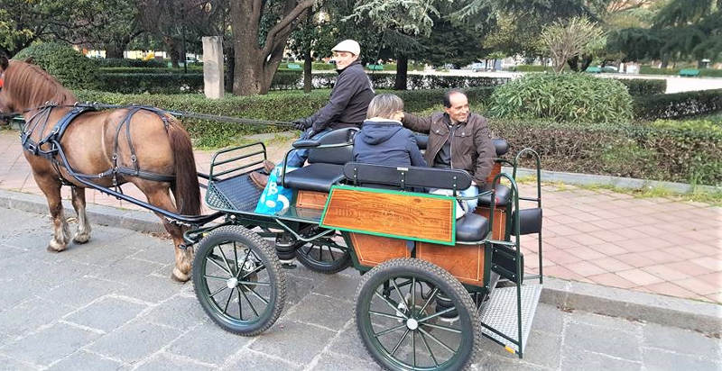 Passeggiata in carrozza a Linguaglossa, Catania, per un'esperienza unica in Sicilia