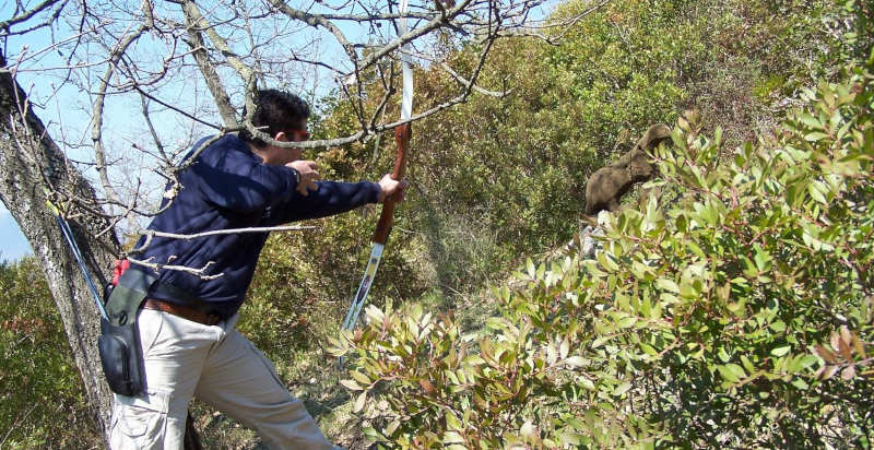 Partecipante che mira con arco su un bersaglio 3D nella natura