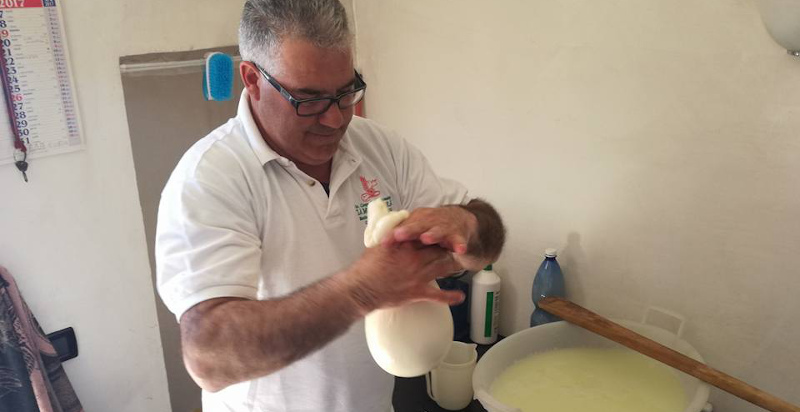 Preparazione del caciocavallo nella fattoria